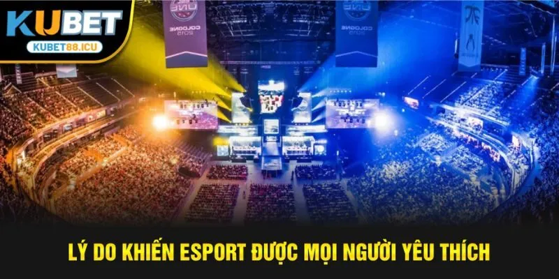 Lý do khiến esport được mọi người yêu thích